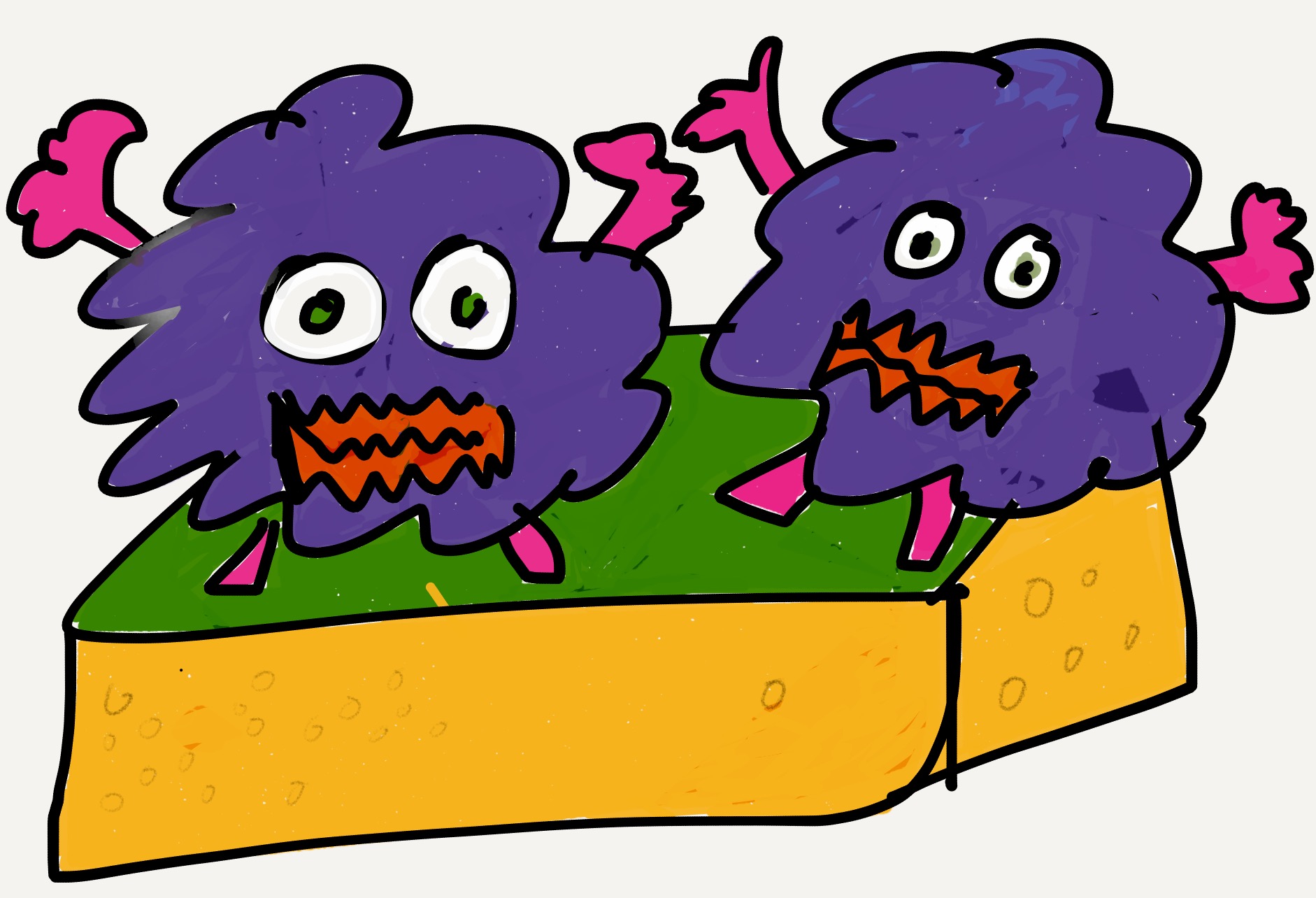 bacteriën op een spons